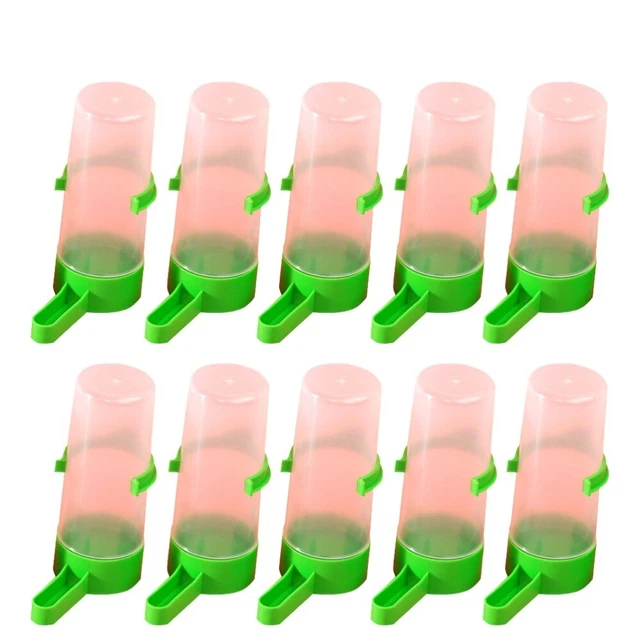 10 PCS Bird Food Cockatiel Small Bird Cage Small Bird Feeder Parrot