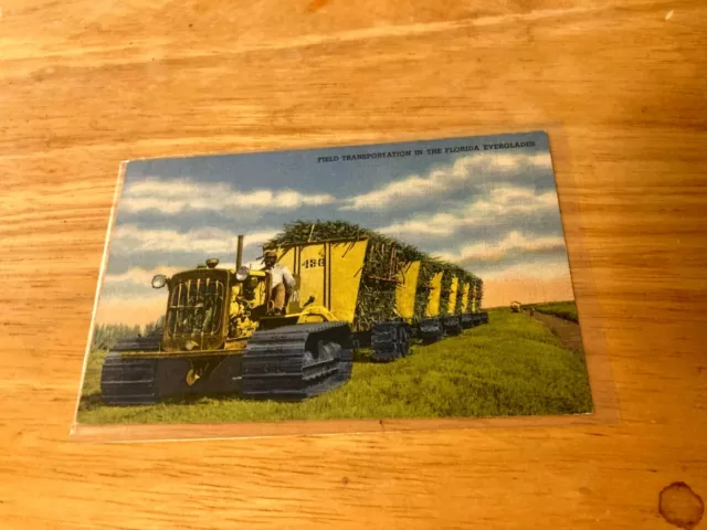 Postcard- Black Americana Field Transport In The Florida Everglades