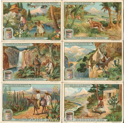 Ed LIEBIG LA FLORA NELLE ALTE MONTAGNE S 930 CIF 929 ITALIANA 