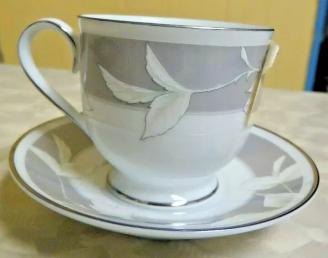 Small Vintage Noritake Japan China Autumn Rhapsody Footed Cups & Saucer #3660