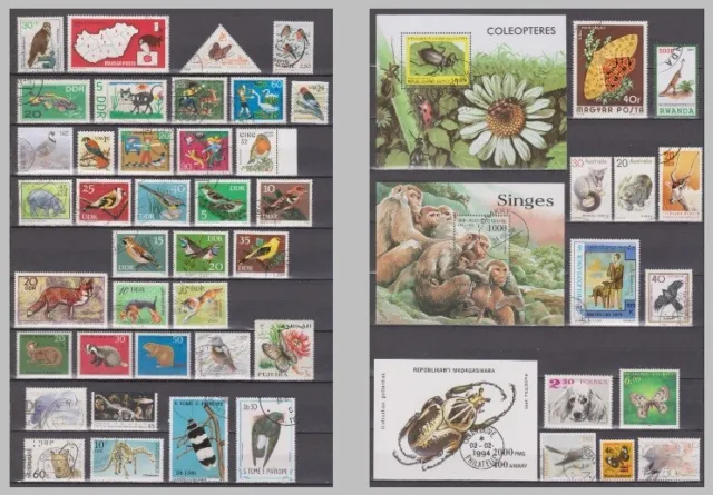 Collection ANIMALS on stamps