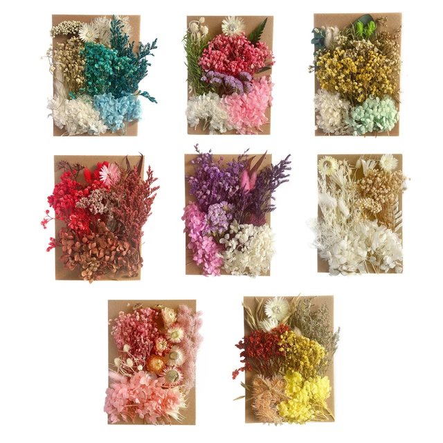 Moldes de resina, flores secas naturales A5 para álbum de recortes, suministros para hacer tarjetas