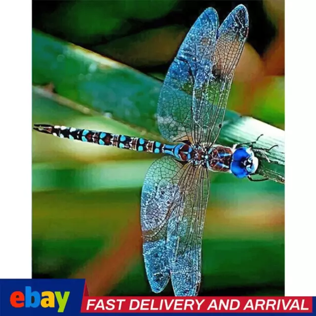 40x50cm Colorful DIY Paint By Numbers Kit Dragonfly Animals for Decor Gift Art