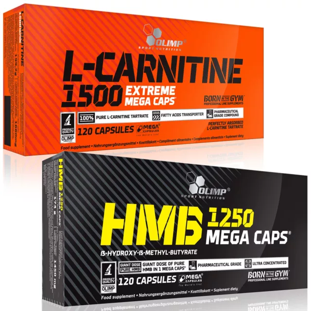 L-Carnitin + HMB 60-120 Kapseln Fatburner Gewichtsverlust Abnehmen antikatabol