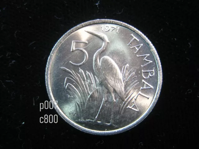 MALAWI 5 Tambala 1971 Purple Heron Gold Tone Gem UNC 2272# Bank Money Coin
