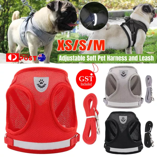 NEW Kitten Dog Cat Harness and Leash for Walking Adjustable Soft Pet Vest Collar