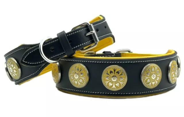 Leather Studded Dog Collar Padded Strong Big Dog Collars Stitched Collar Staffy