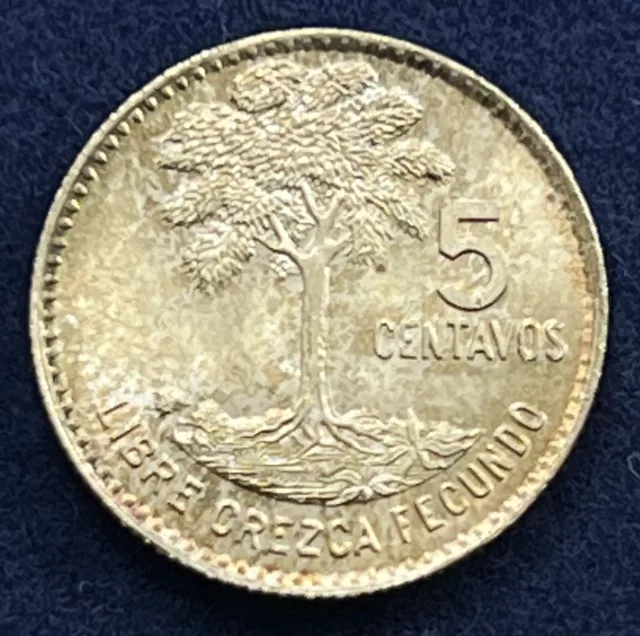 1964 Guatemala 5 Centavos Silver Coin  BU