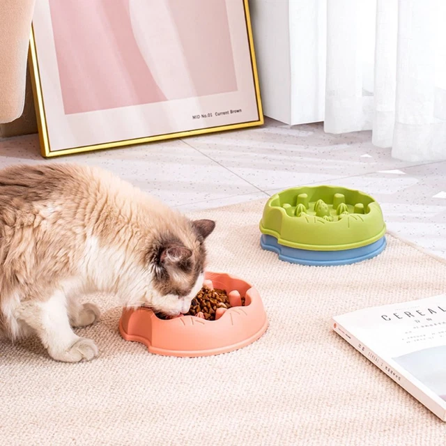 Anti soffocamento Ciotola per l'alimentazione degli animali domestici