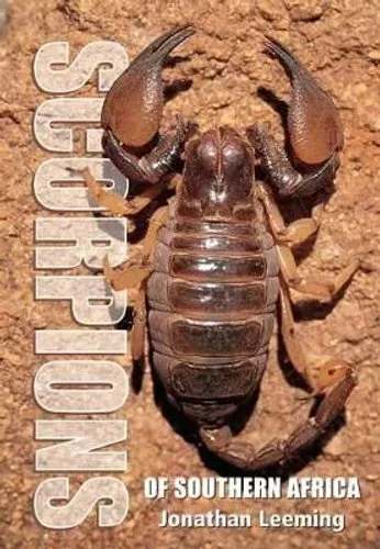 Scorpions of South Africa by Jonathan Leeming 9781775846529 | Brand New