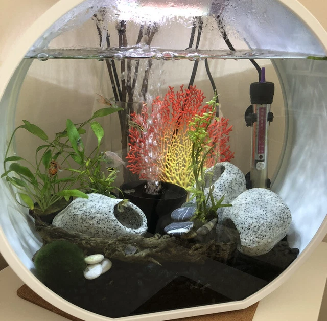 Fish R Fun Deco 20L Fish Tank  with accessories