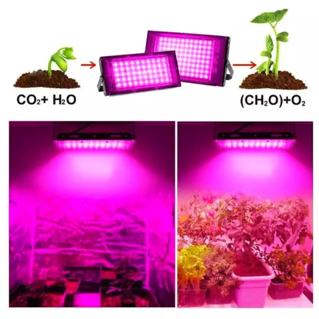 50W/100W Full Spectrum LED Grow Light for Indoor Plants