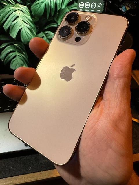 Apple iPhone 13 Pro Max 256GB てがる ゴールド