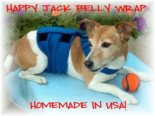 HAPPY JACK Dog Diaper Belly Wrap with NONSLIP Chest Strap - est.2008