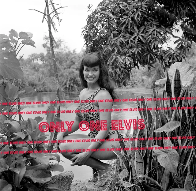 1954 BETTIE PAGE 30x30 LARGE Photo "QUEEN OF PIN-UPS" Squatting in