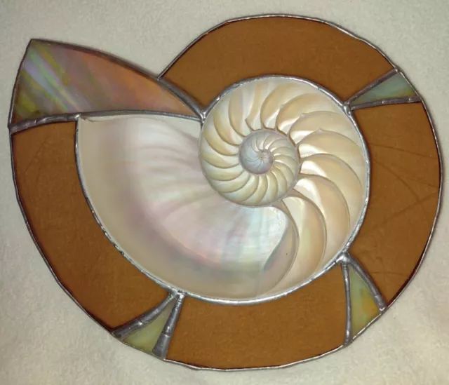 Tiger Nautilus Half Shell Surrounded By Stained Leaded Glass Sun Catcher Stunner