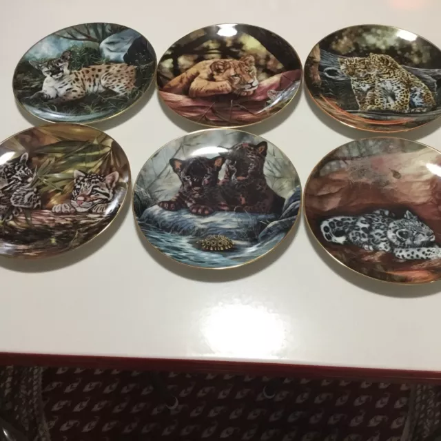 6 Just Cubs  Tiger Cat Princeton Gallery 8” Collectors Plates- 1995-Japan