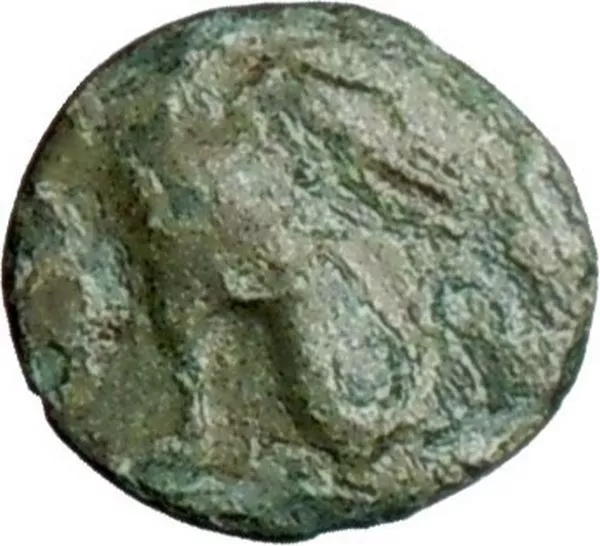 ABDERA Thrace 336BC Griffin Lion w wings & eagle head  Ancient Greek Coin i24952