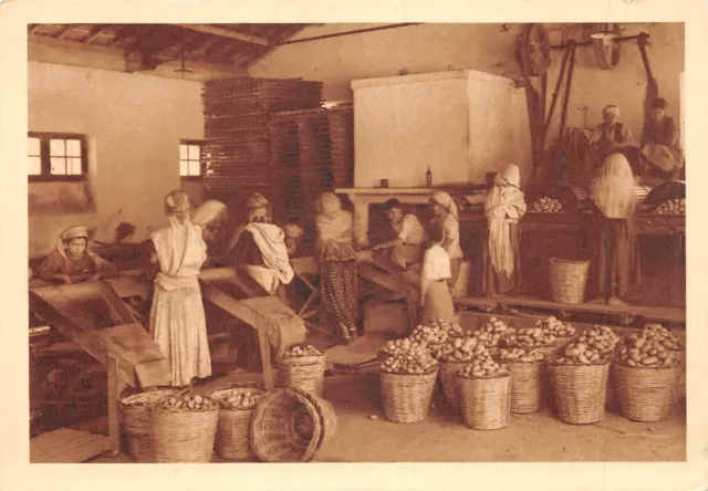 Cpa Algerie Domaine De La Trappe Staoueli Lavage Et Calibrage Des Pommes De Terr