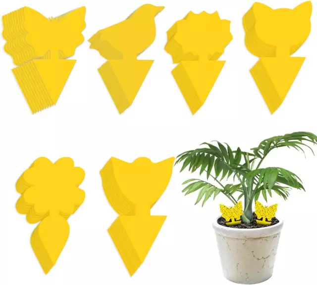 Fruit Fly Traps, Singwow 60 Pack Fungus Gnat killer for Indoor Plants Yellow Fly