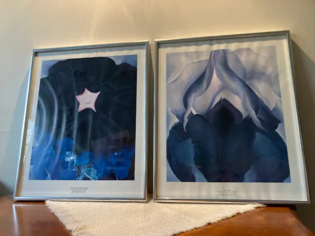 2 FRAMED GEORGIA Okeeffe Prints: Black Hollyhock Blue Larkspur & Black ...