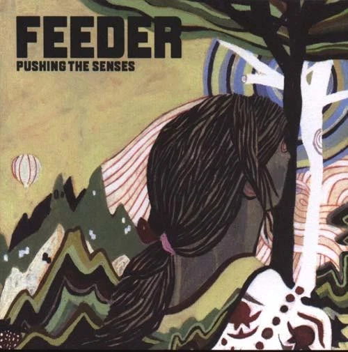 FEEDER - ECHO Park & Pushing The Senses - 2 x CD Albums £1.67