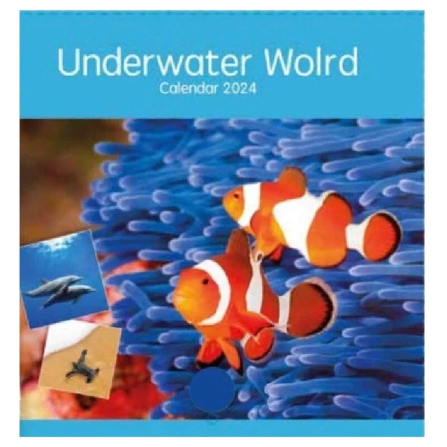 UNDERWATER 2024 CALENDAR Large Square Wall Sea Animal Fish Calendar
