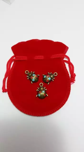 Witch Charms 3 Lucky Ladybugs in a Bag Talisman Protection