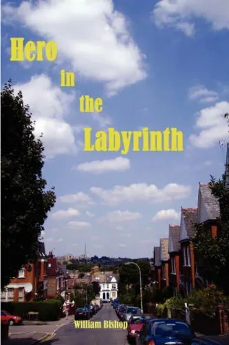 Hero in the Labyrinth by Bishop  New 9781847533975 Fast Free Shipping-,