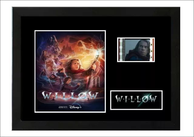 Willow 35mm Framed Film Cell Display Stunning New