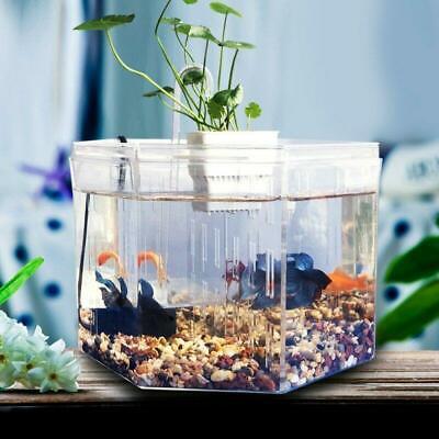 Big Size 4 Rooms Aquarium Acrylic Four Splits Betta Fish Tank With Basket Plant