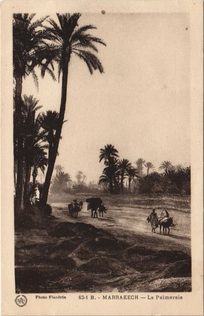 CPA AK MAROC MARRAKECH La Palmeraie Flandrin (37996)