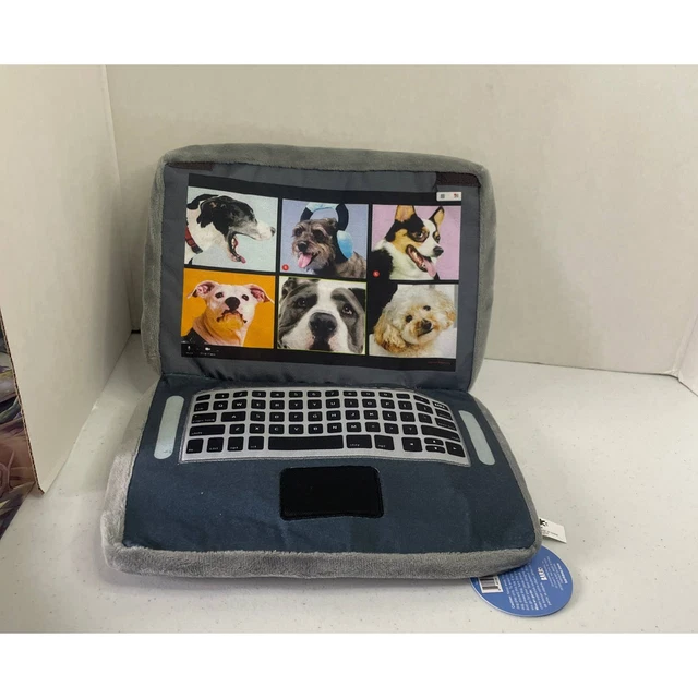 Bark Box: " Zoomies with my hoomies" All dog sizes dog toy Squeaker Pose n Play
