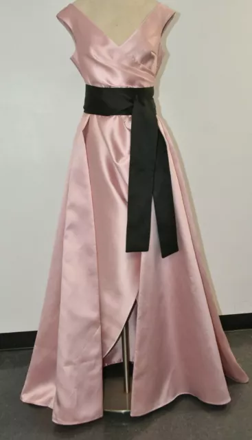 $3920 NEW Elie Saab Aurora Gown Maxi  Pink Dress Belt Black Sash 42 10 ..