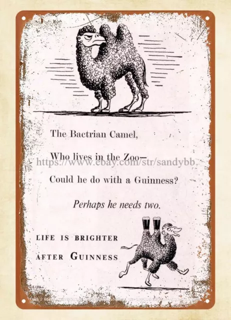 1947 The Bactrian Camel perhaps he needs two Guinness beer metal tin sign