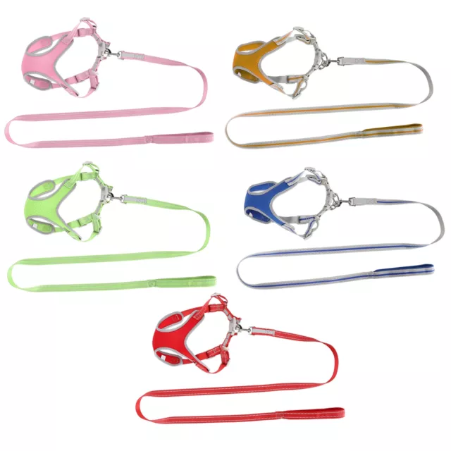 Dog Vest Harness Leash Pet Escape‑Proof Reflective Walking Vest Strap 2