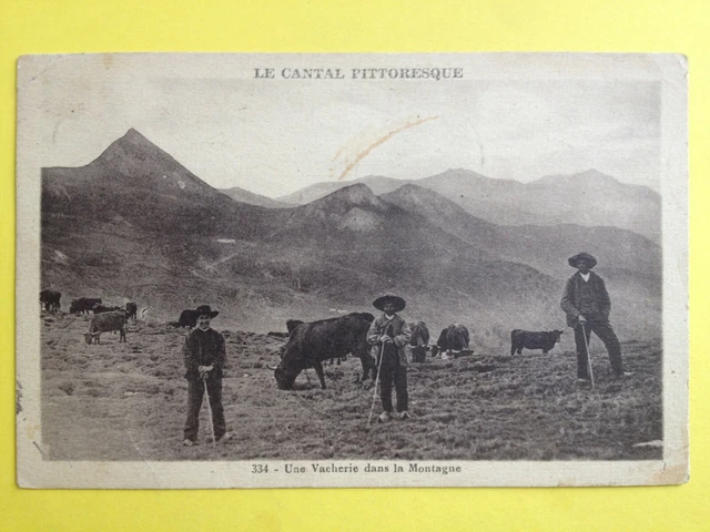 cpa FRANCE AUVERGNE Le CANTAL Pittoresque Une VACHERIE dans la MONTAGNE