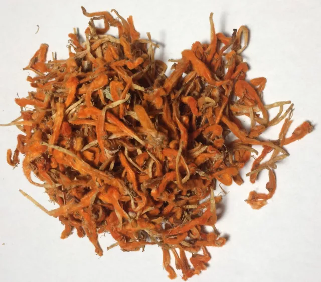 1 oz. Wild Dagga Flower Petals (Leonotis leonurus) Wildharvested South Africa