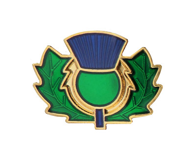 Cardo Scozia Cardo Taglio Fuori Stilizzato Spilla Badge 