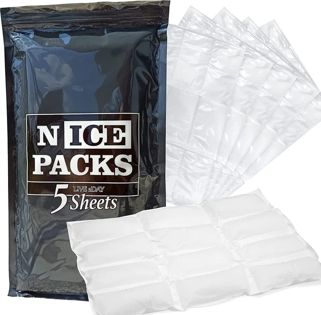 60 DRY ICE Packs, Lunch Box Cooler, Shipping Frozen Food, Reusable