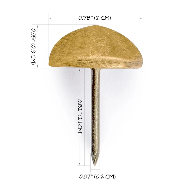 Hardware Philosophy Brass Studs (Tacks, Nails, Pins) with 0.8" Heads, Set of 2 3