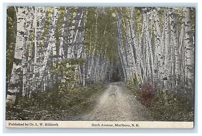 c1910's Birch Avenue Tree Lined Dirt Road Marlboro New Hampshire NH Postcard