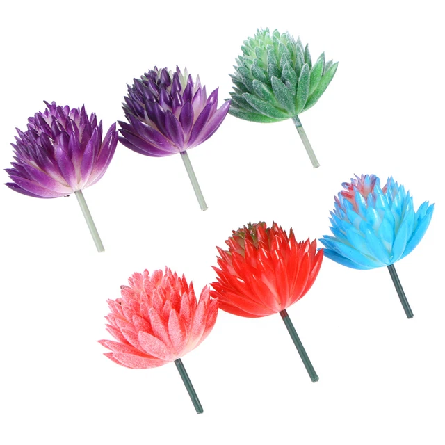 6 Pcs Künstliche Sukkulente Sukkulenten Ungetopft Kleine Mini