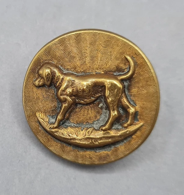 Shipenophy bouton de dressage pour chiens de compagnie Bouton de