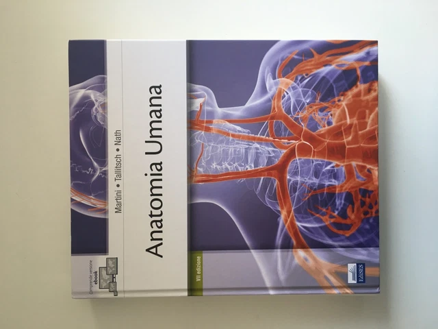 Anatomy visual data 5