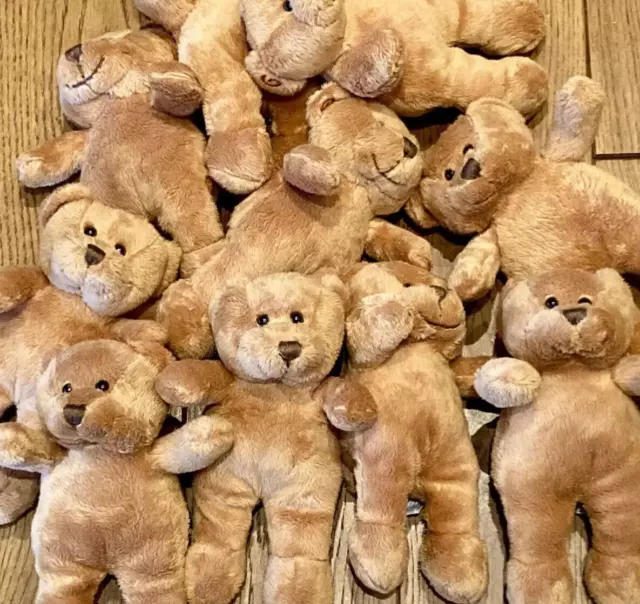 Job lot teddy bears hotsell