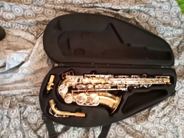 Borg Alto Saxophone For Restoration poor case