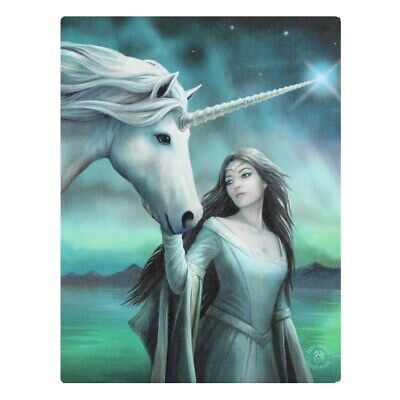 North Star Canvas Plaque By Anne Stokes Size 19x25cm Unicorn star fantasy design