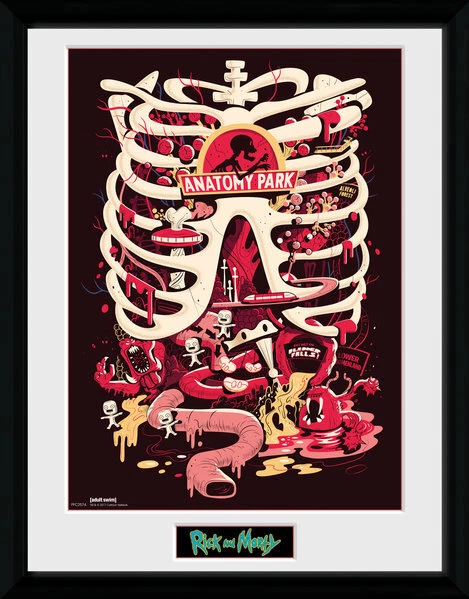 Rick And Morty - Anatomy Park Stampa In Cornice 30x40cm GB EYE