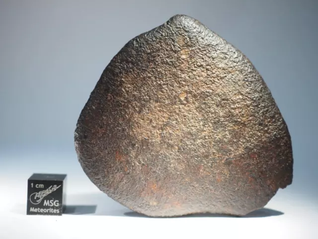 Oriented 92g NWA XXX Unclassified Stone Chondrite Meteorite individual